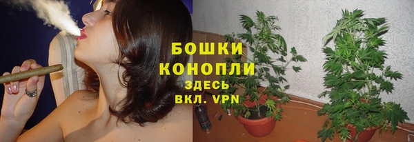 марки lsd Дмитриев